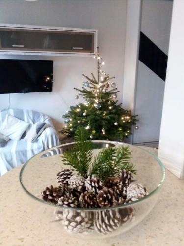 Apartament W G�reczkach