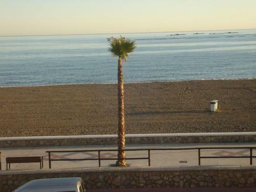 Apartamento �tico 1� Linea de Playa