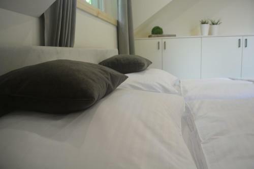 Apartamento Domek Nad Kryniczank?