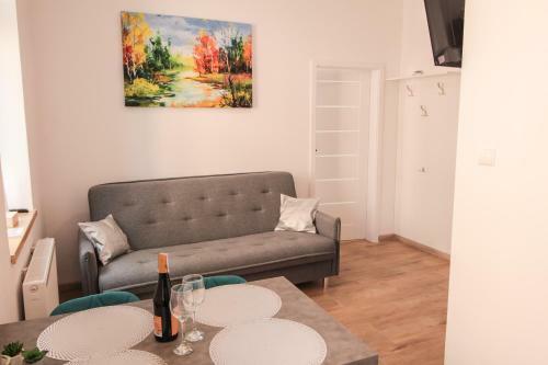 Apartament City Center Silver - Luxury Standard