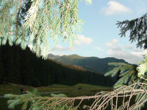 Bed & Breakfast Gospoda Harna?