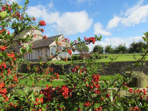 Agroturismo Lowe Farm