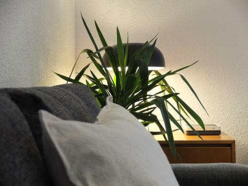 Entre Pinos P1 Beach Apartment