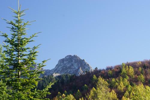 Domek Nad Potokiem