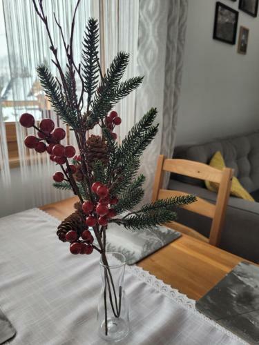 Apartament Rozeta