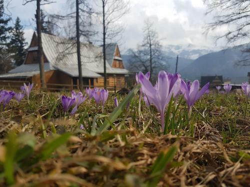 Apartament Sielanka, Basen Ko?cielisko