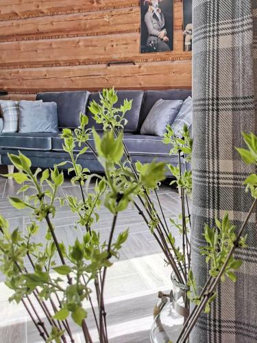 Apartamento Siedlisko Ko?cielisko