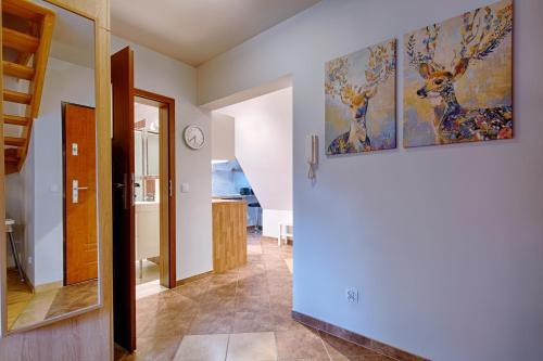 Apartament Krokus