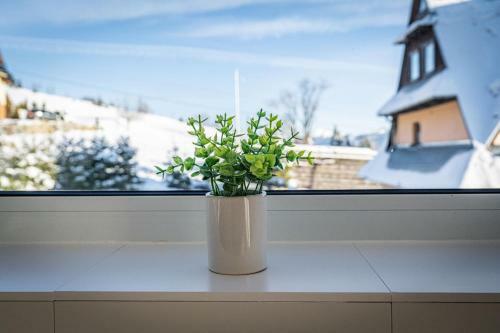 Apartament Pod Wierchem