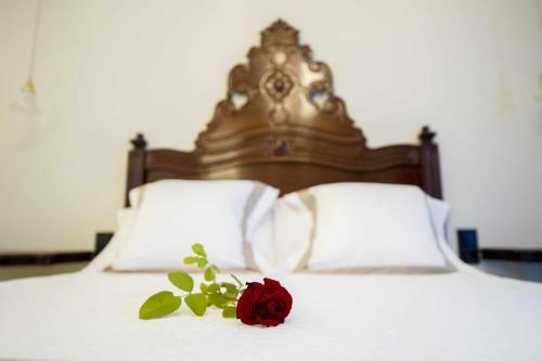 Bed & Breakfast Bolet Casa Modernista