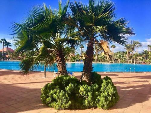 Fuerteventura Apartments Harmony