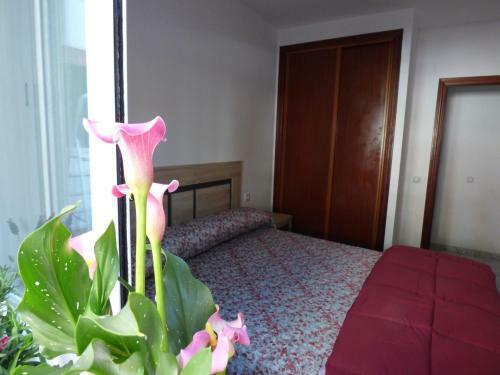 Apartamento Lloret Pool & Terrace