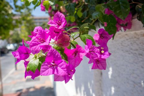 Holiday Apartment Jardines 474