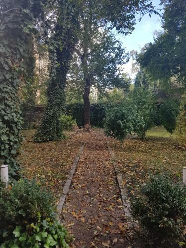 2 Bedroom City Center Apartament
