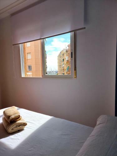 Apartamento Sunflower Miramar