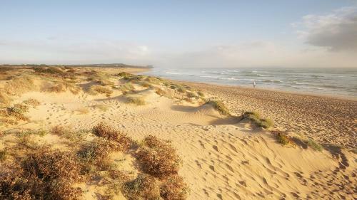 Apartamentos Lighthouse Dunamar