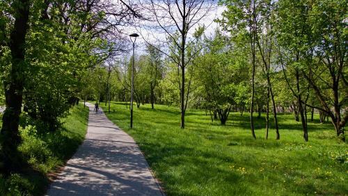 Apartament "park Lotnik�w"