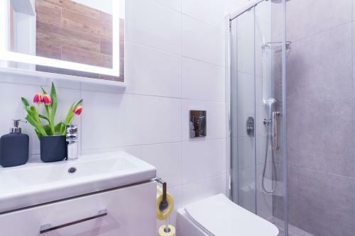 Apartments Floria?ska 24