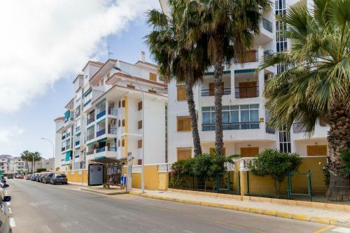 Apartamento La Mata B�lgica