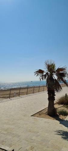 Apartamento Sofia La Mata
