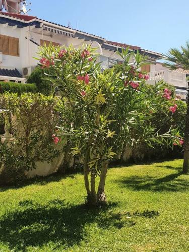 Apartamento Parquemar Con Vistas Al Mar