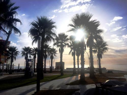 Apartmento Hana Con Terraza - Playa La Mata