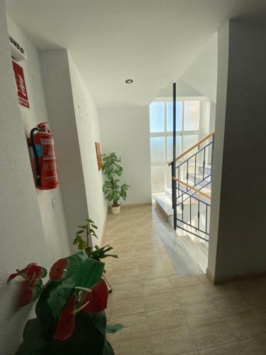 Apartamento Pino Parquemar
