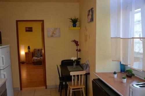 Miracool Apartament