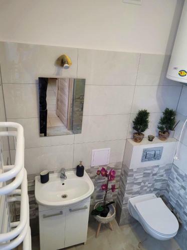 Miracool Apartament