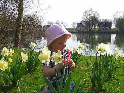 Holiday Home Landgoed Het Timmerholt1