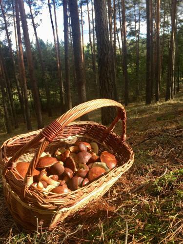 Domek Na Wsi Mokosz