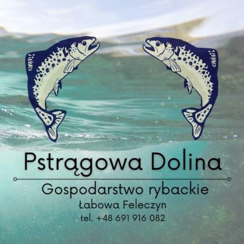 Domek W Stadninie