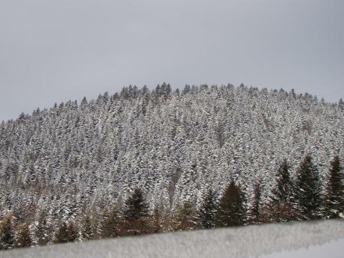 Domek Nad Stawem
