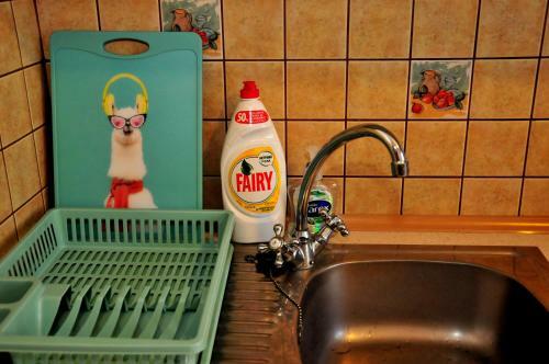 Mini Apartament
