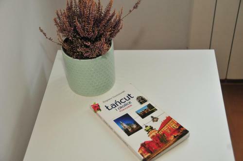 Mini Apartament