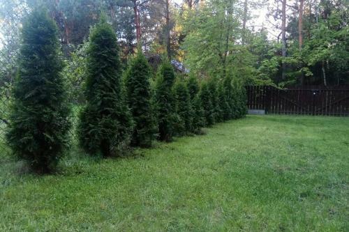 Samotnia Nad Bugiem