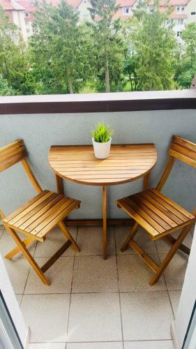 Apartament Teligi