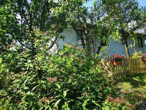 Apartamento Agroturystyka U Kozdryka