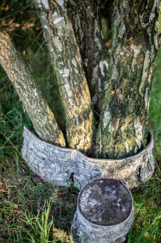 Glamping ?wiecie Nasz