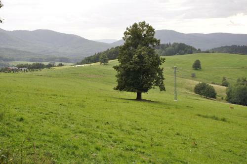 Agroturismo Lusatia Farm