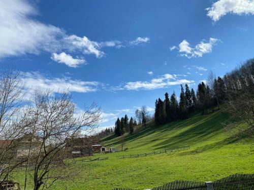 Villa Apartamenty U Basi