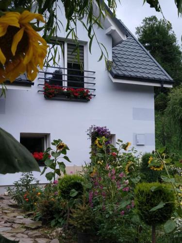 Apartamento Aura