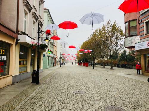 Legnica Apartament 52m2 Delux 1