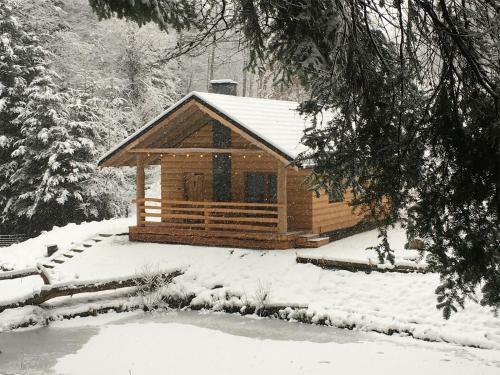 Lodge Bieszczady Domek Nad Stawem