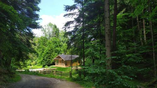 Lodge Bieszczady Domek Nad Stawem