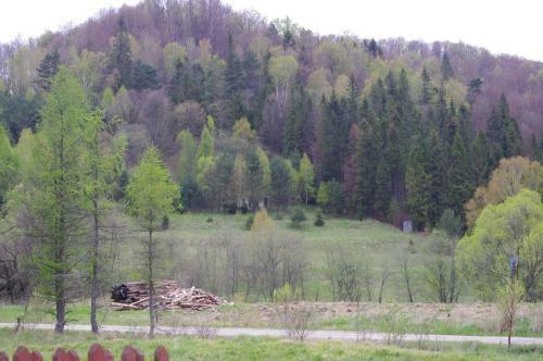 Kyczyrka
