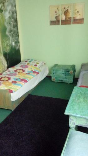 Bed & Breakfast Schronisko Srebrny Potok