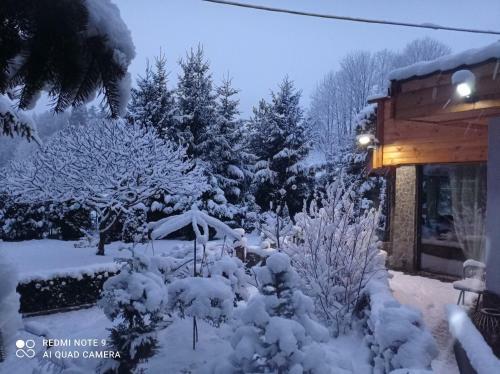 Apartamenty Sokolec
