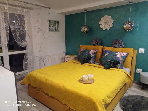Apartamenty Sokolec
