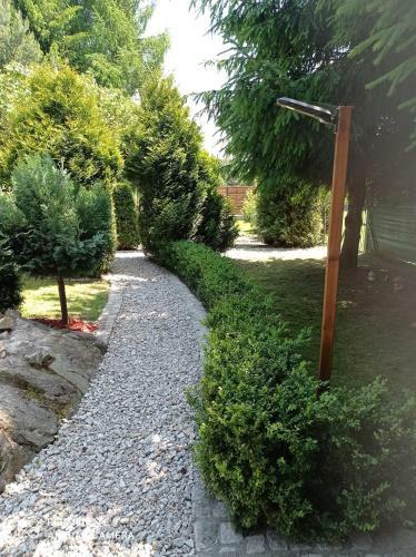 Apartamenty Sokolec